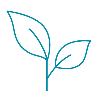 Personal Growth